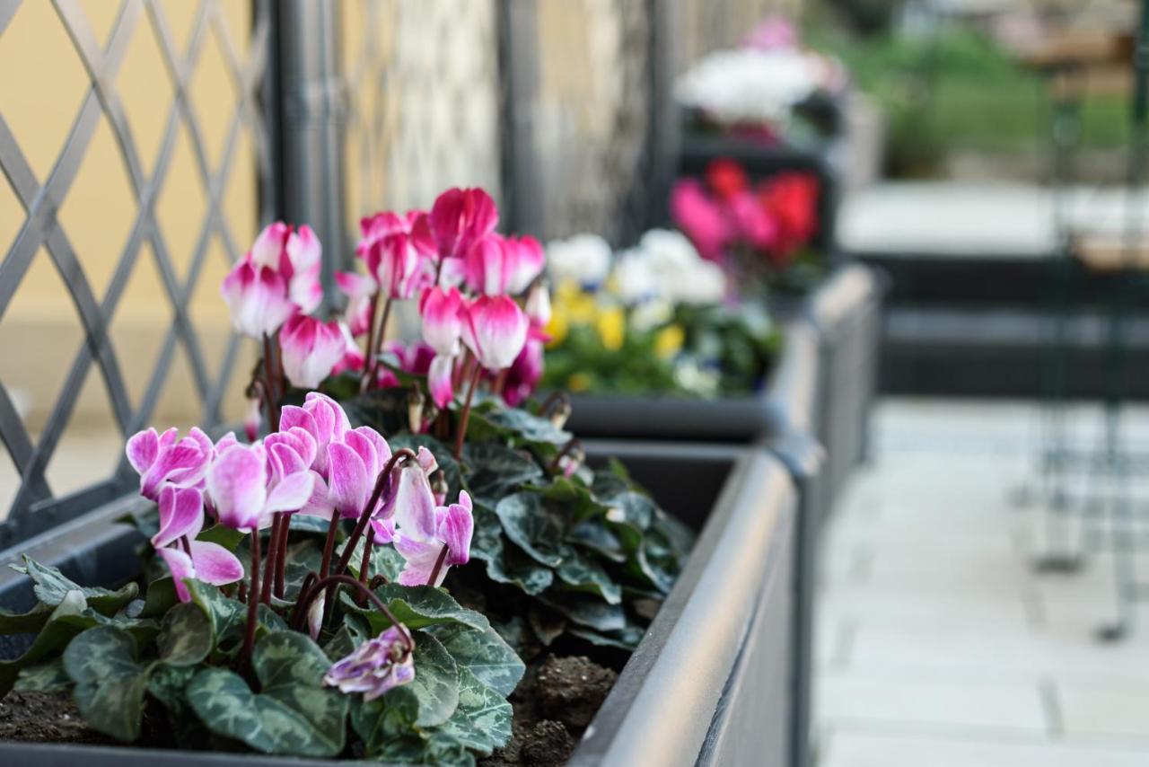 Maria Theresa Rooms & Garden Napoli Exterior foto